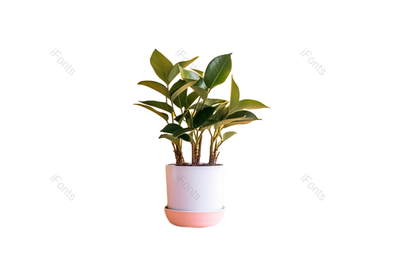 叶子图片,节日元素,扁平化设计PNG,现代免抠素材